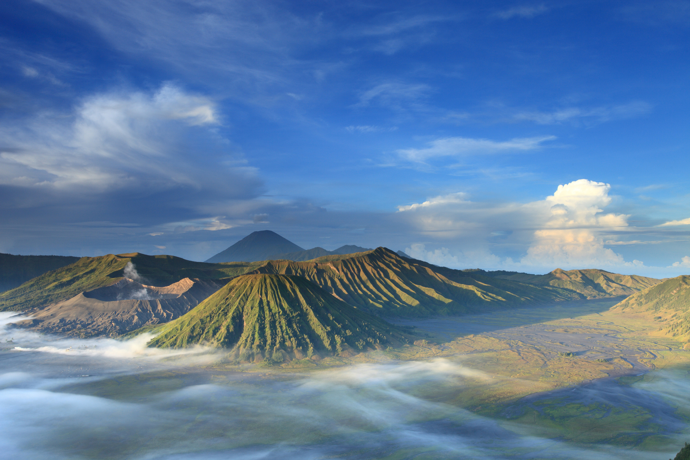 Bromo